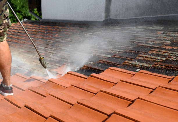 Best House Pressure Washing  in Eyota, MN